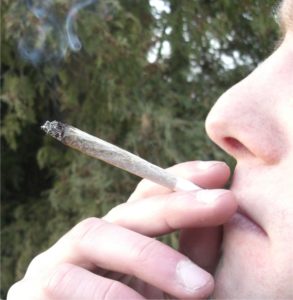 How to roll a joint wikipedia-commons