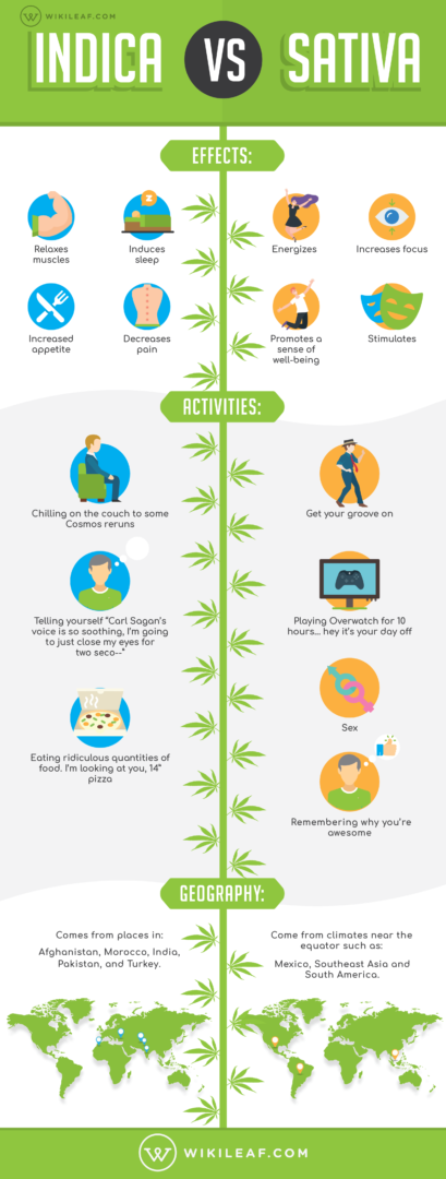 Indica vs Sativa Differences You Need To Know - Gunja Guides