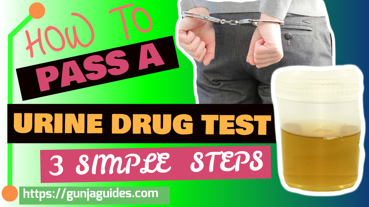 How To Pass A Urine Drug Test