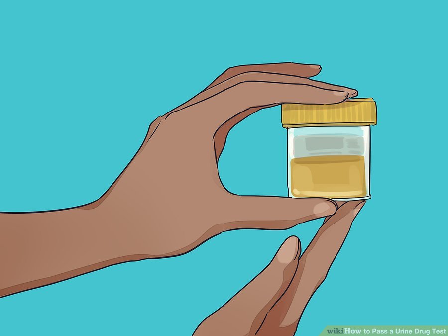 Pass A Urine Drug Test